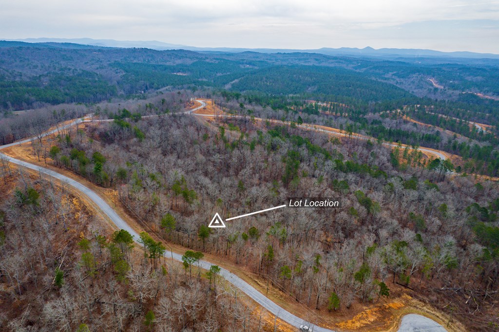 Lot 44 Bucktail Way