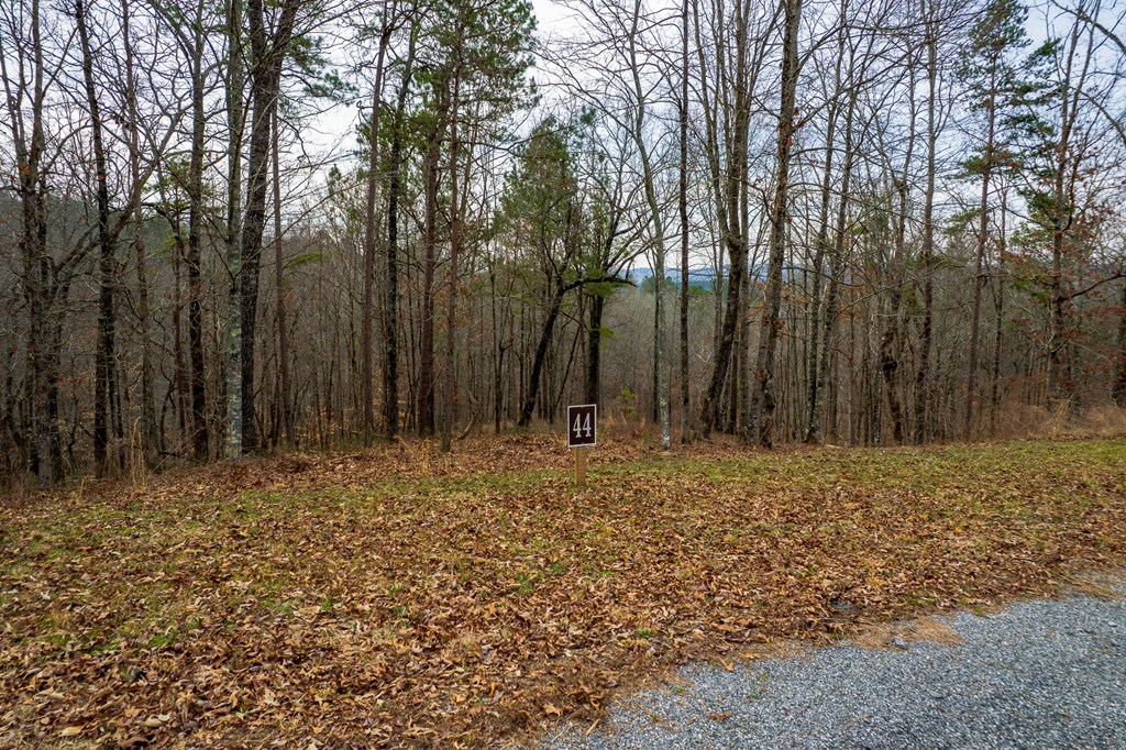 Lot 44 Bucktail Way