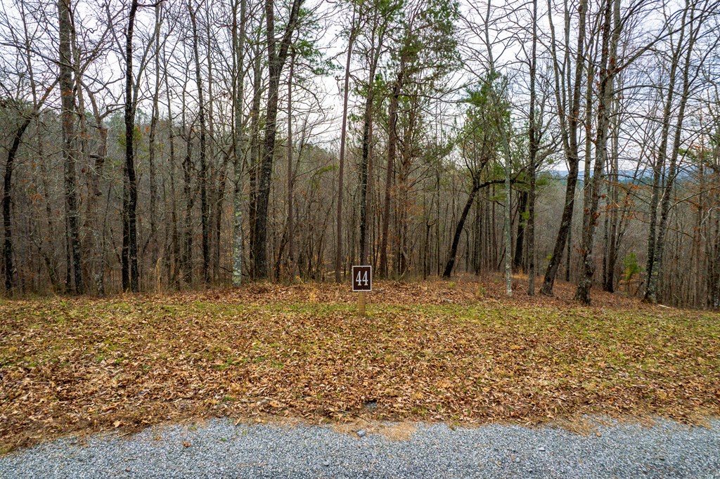 Lot 44 Bucktail Way