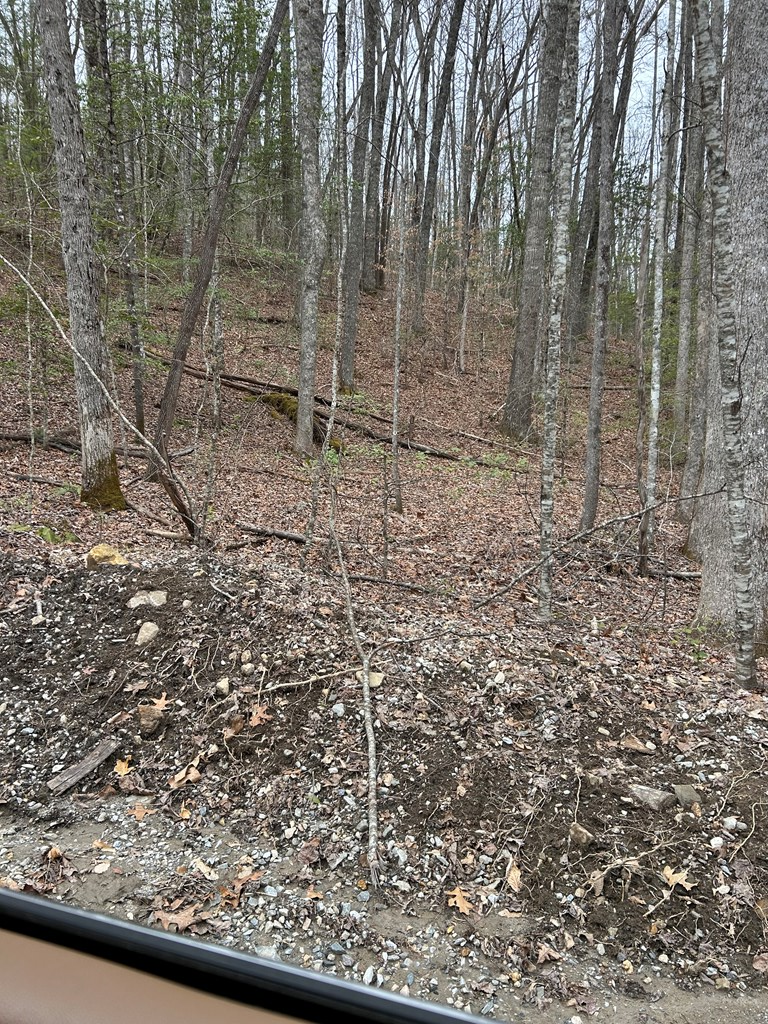 0 Old Rocky Branch Road