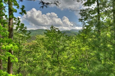 A home in Blue Ridge