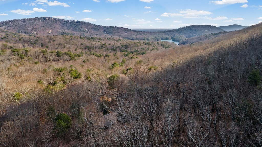 119 Soaring Hawk Circle