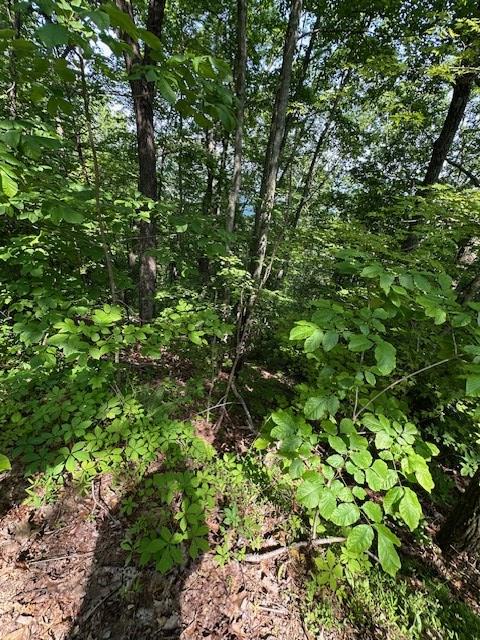 16 Ac Campbell Cove Creek