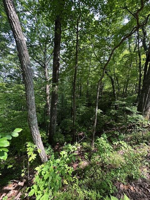 16 Ac Campbell Cove Creek