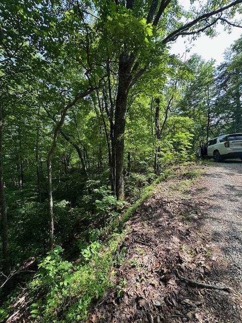 16 Ac Campbell Cove Creek