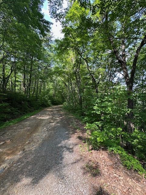 16 Ac Campbell Cove Creek