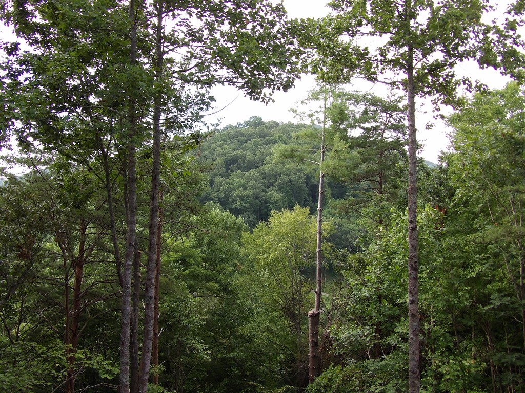 1158 Shadow Mountain Road