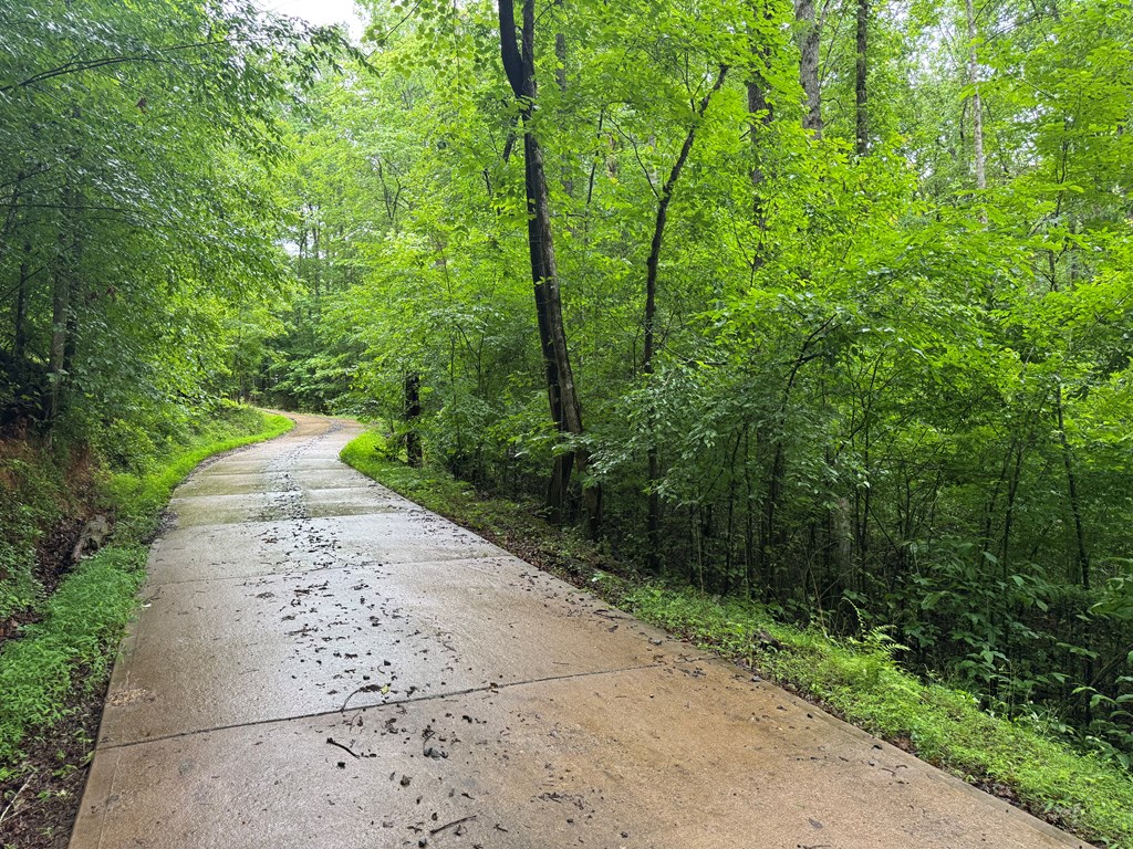 1.23 AC Bear Run Circle