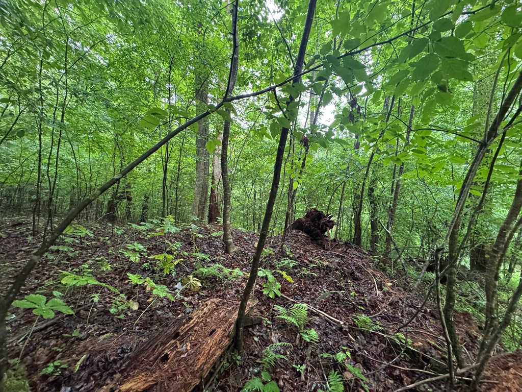 1.23 AC Bear Run Circle