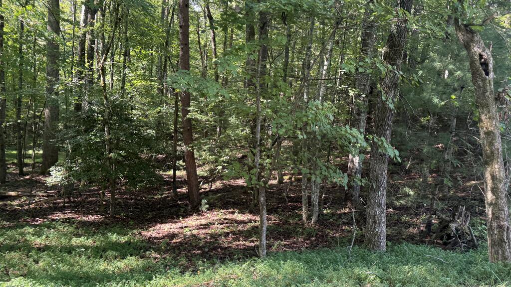 00 River Ridge Road