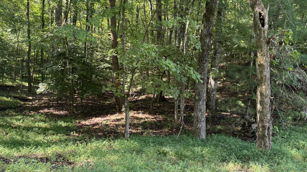 00 River Ridge Road