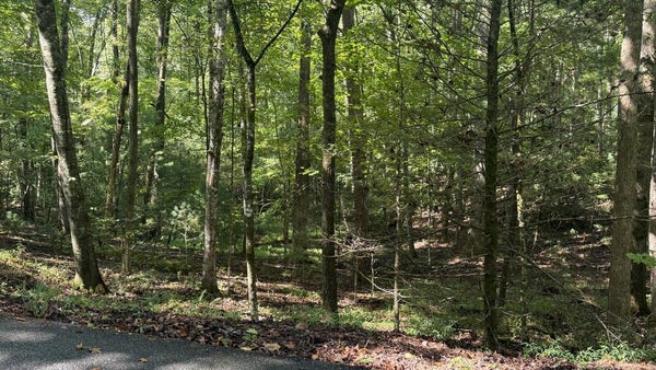 33 RIVER RIDGE RD, BLUE RIDGE, GA 30513 - Image 36e91d7e1e03ffaa8f41d0145f18085c/3360681397