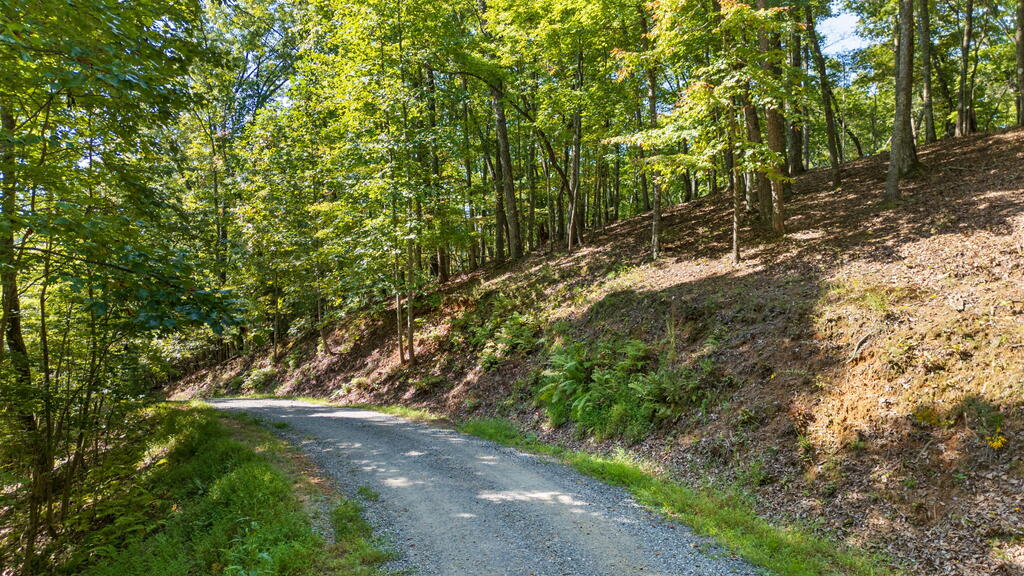 LOT 159 Tracks Hollow