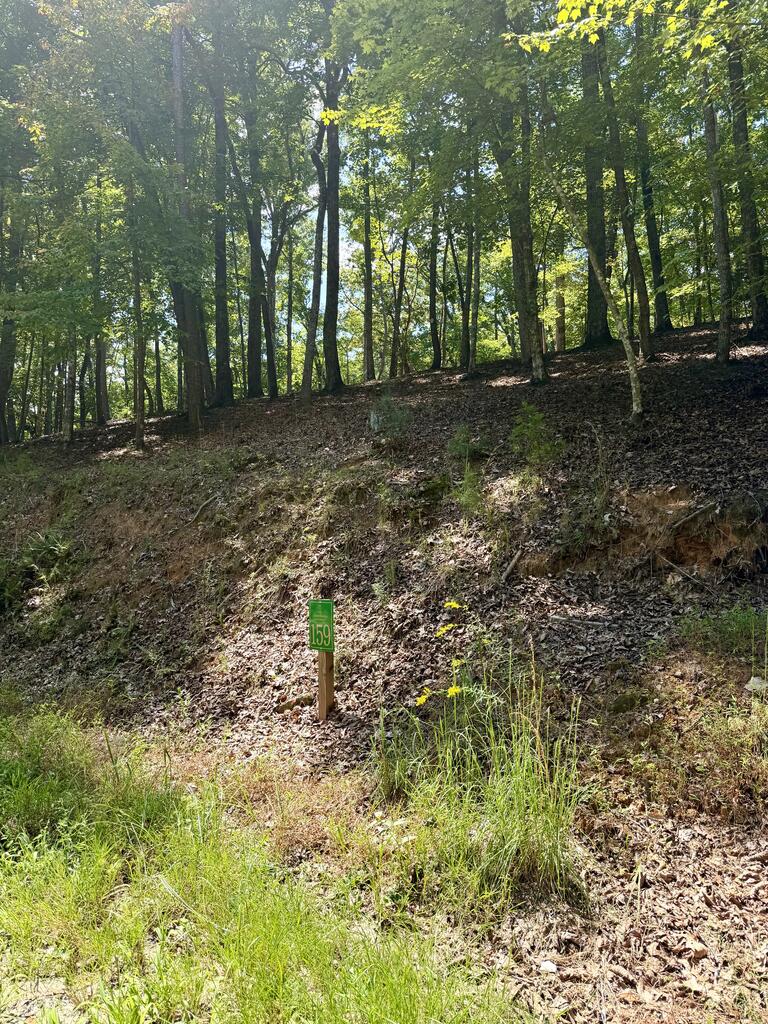 LOT 159 Tracks Hollow