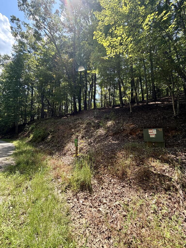 LOT 159 Tracks Hollow
