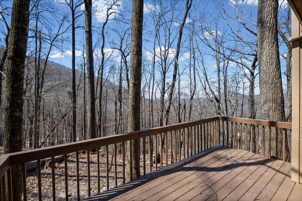 764 Chestnut Cove Trail