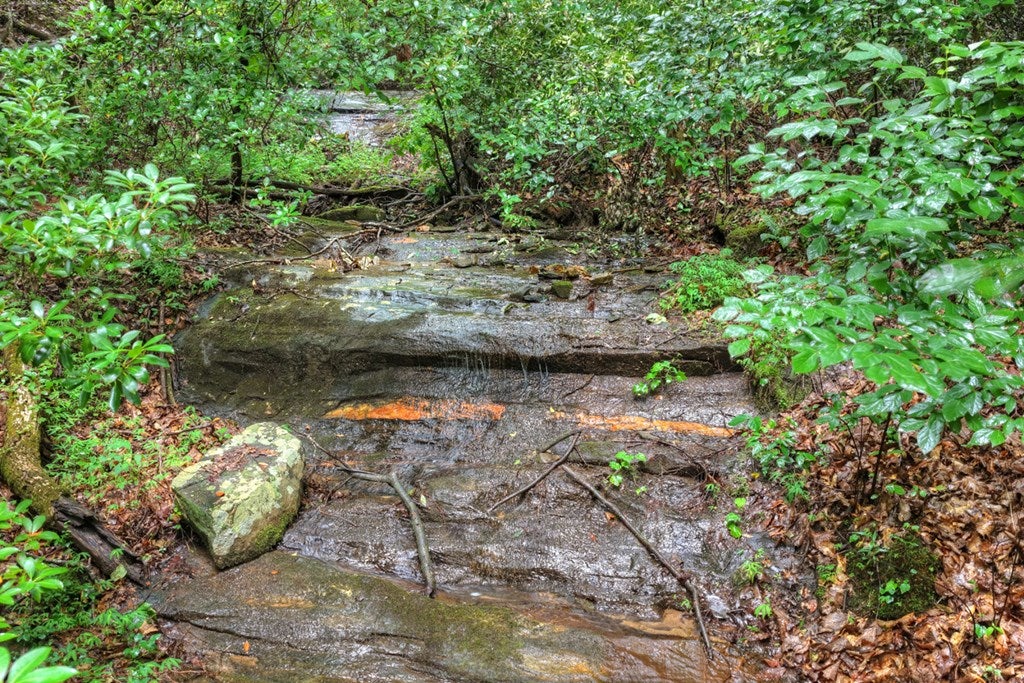1138 Douglas Mountain Trail