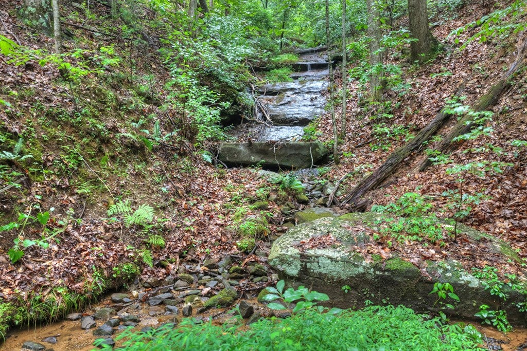 1138 Douglas Mountain Trail