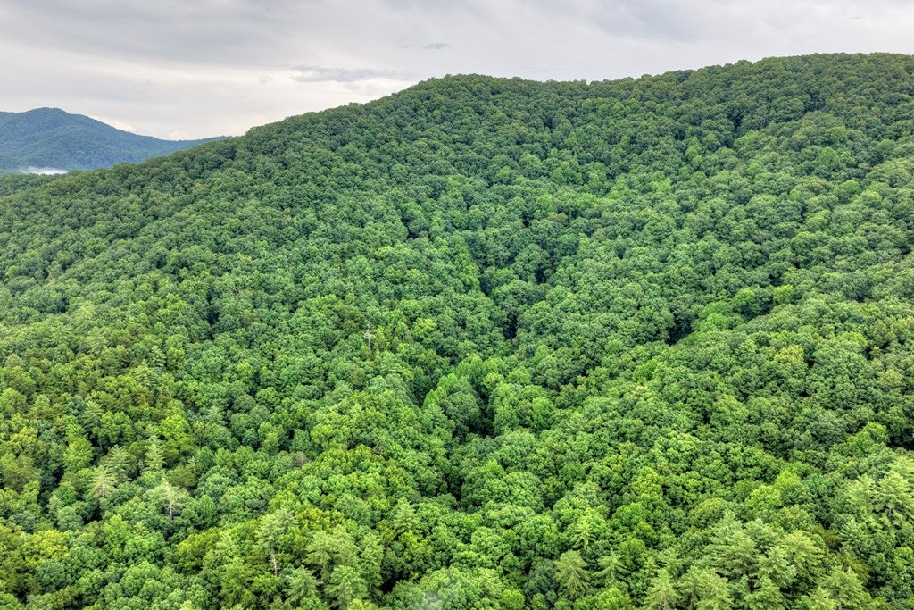1138 Douglas Mountain Trail