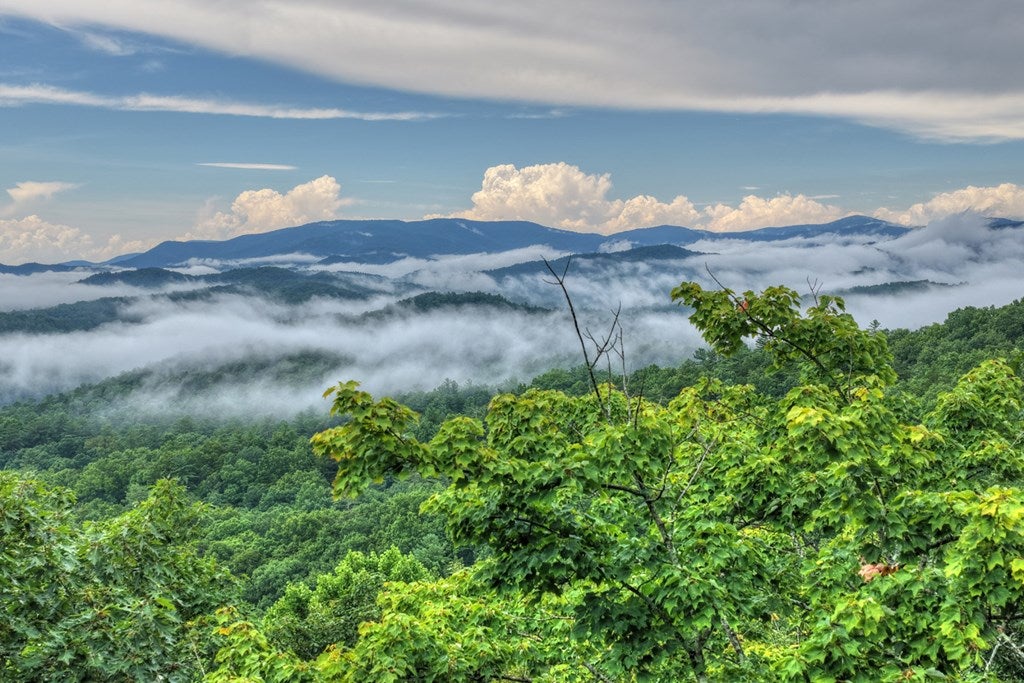 1138 Douglas Mountain Trail