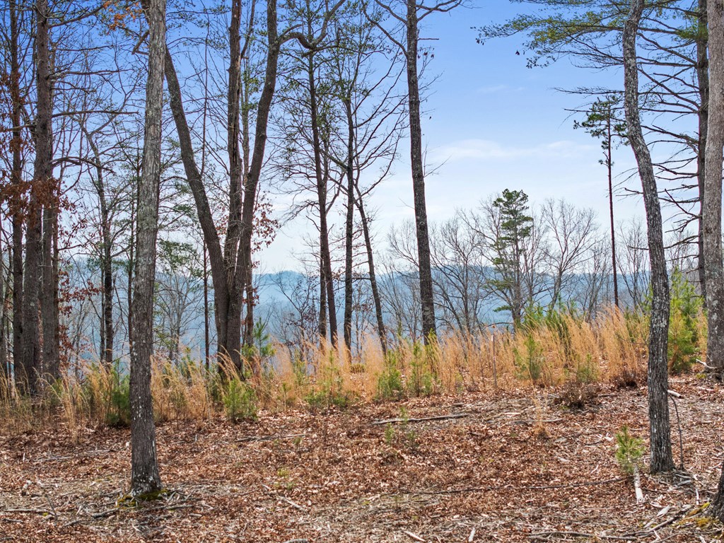 LOT 162 Ridges Of Blue Ridge