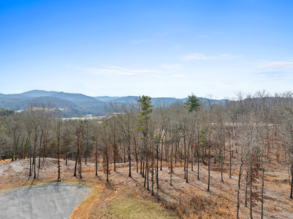 LOT 162 Ridges Of Blue Ridge