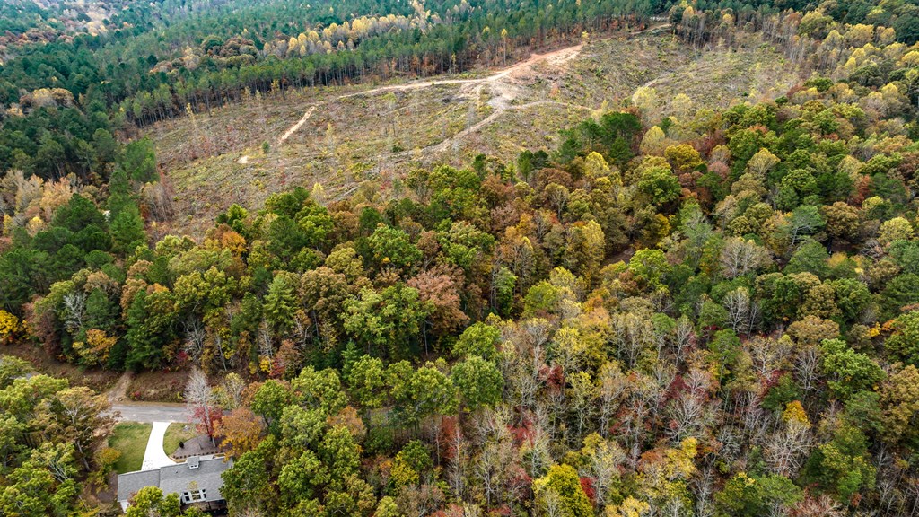 LOT 49 Lower Creek Trail