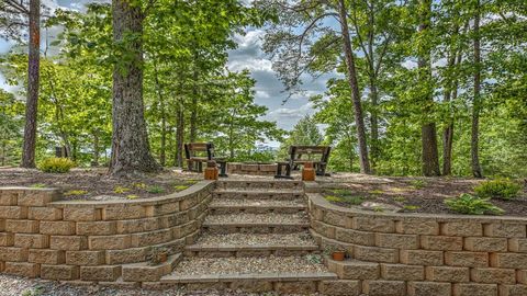 A home in Mineral Bluff