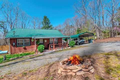 A home in Mineral Bluff