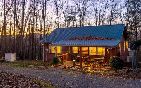 A home in Mineral Bluff