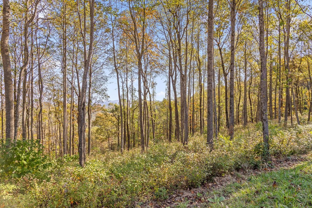 Lot 375 Calloway Mountain Road