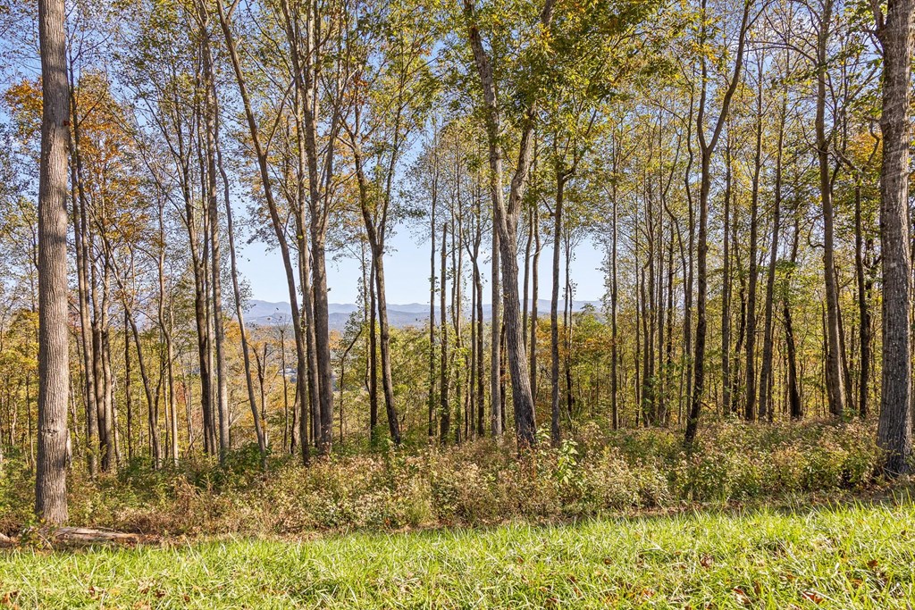 Lot 375 Calloway Mountain Road