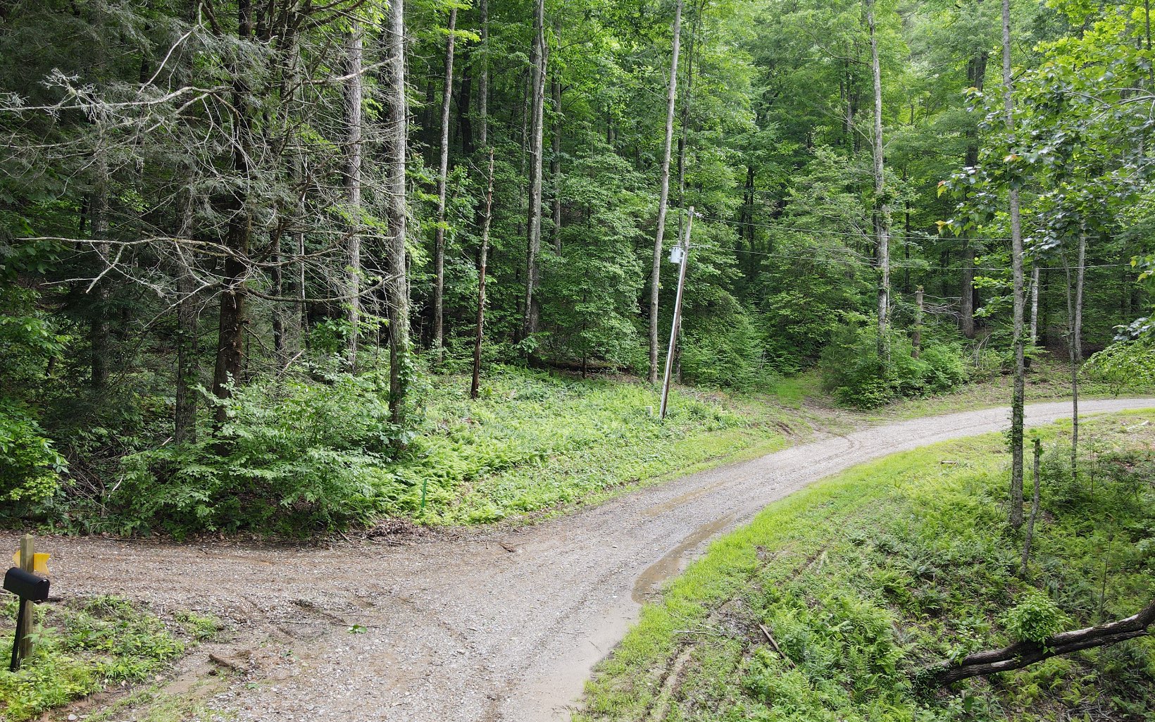 TR 3 Cindy Cove Road