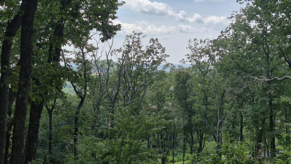 1.5Acres High Summit Drive