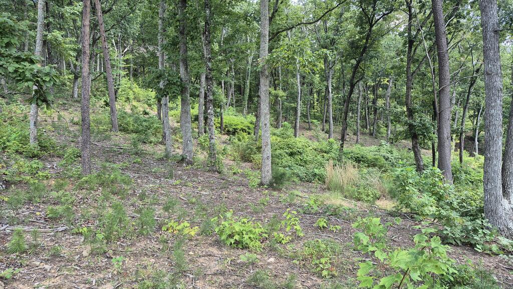 1.5Acres High Summit Drive