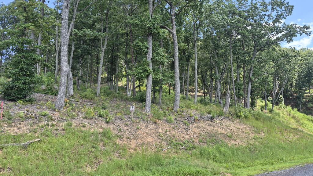 1.5Acres High Summit Drive