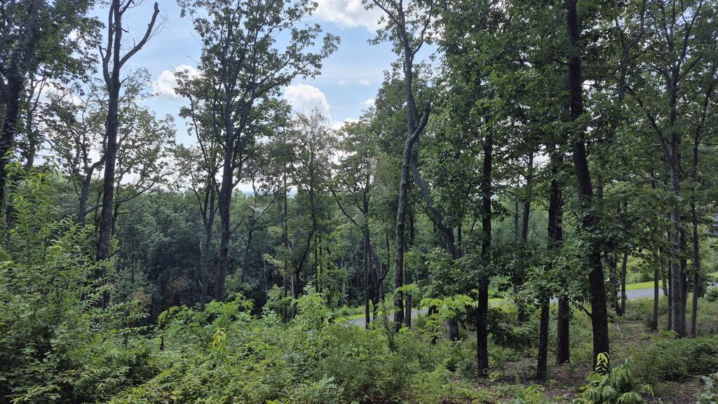 1.5Acres High Summit Drive