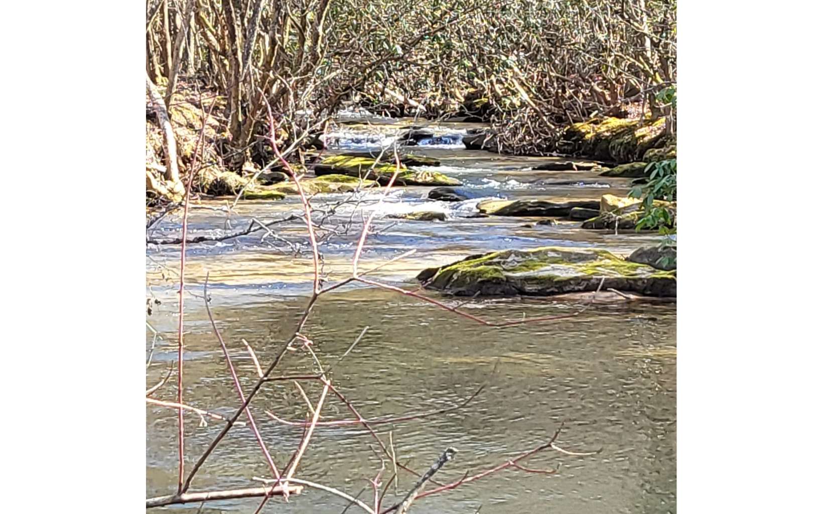 LT 26 Arbor Creek Trail