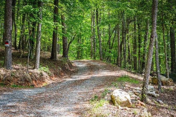 MORGANTON HWY, SUCHES, GA 30572 - Image 387aa0f9e659315e9bcd84ffcc14110a/303971833