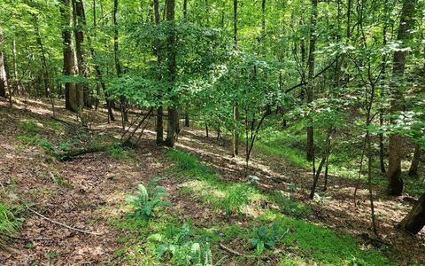 0 Oneida Circle Ellijay GA 30540
