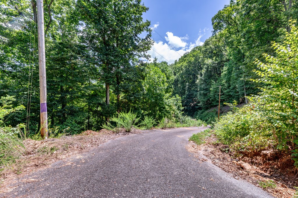 Lot 111C Puett Cove Estates