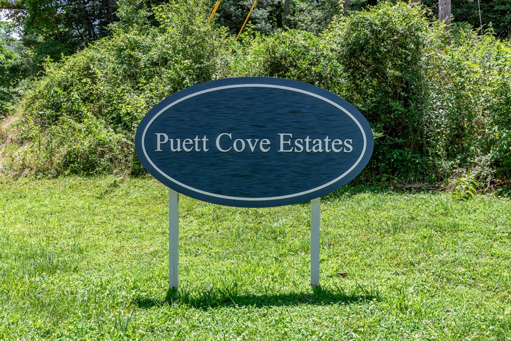 Lot 111C Puett Cove Estates