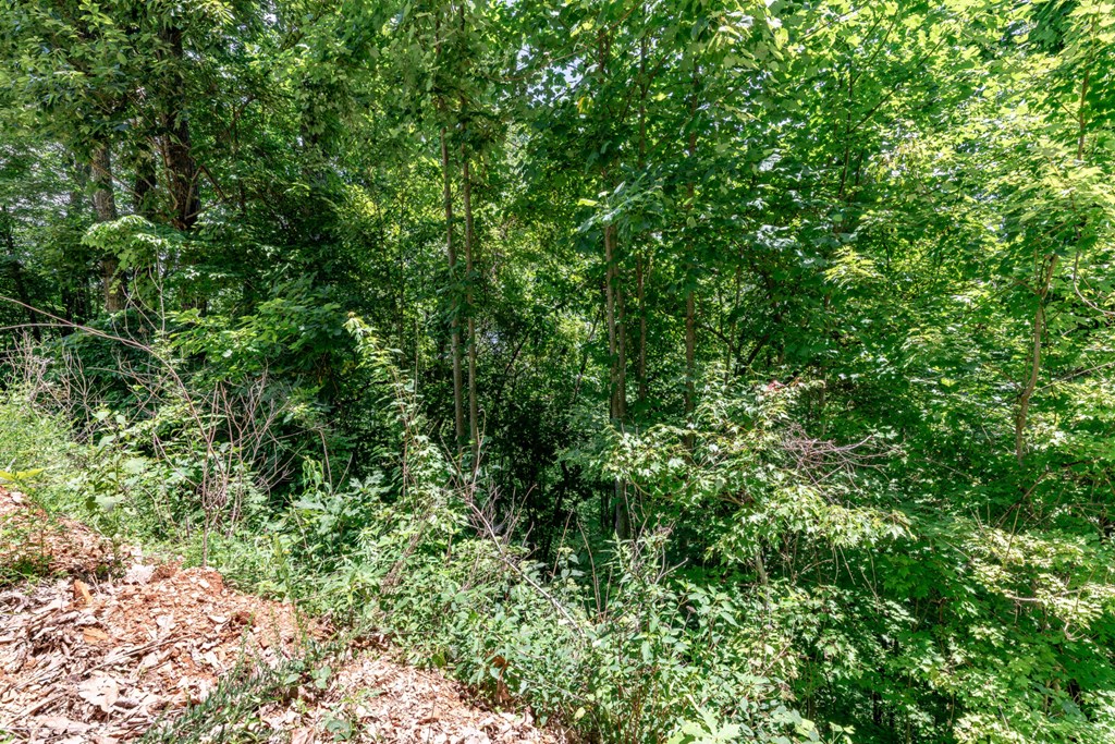 Lot 111C Puett Cove Estates