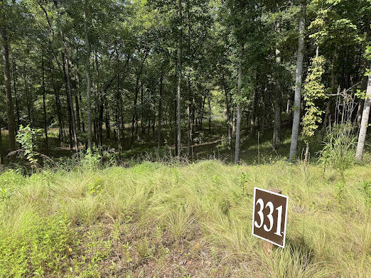 331 Rushing River Road