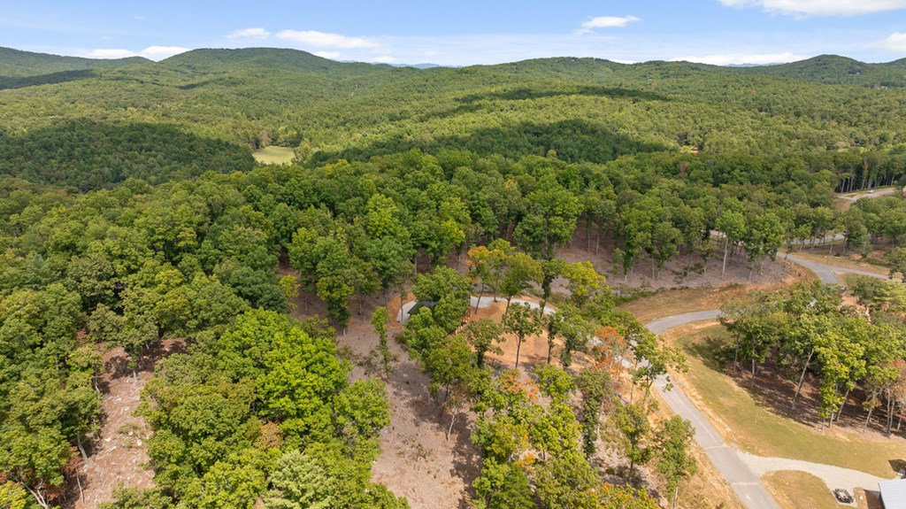 Lot 88 Split Creek Road