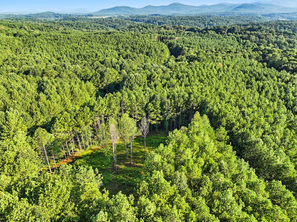 Lot 32 Foxpaw Leaf Lane