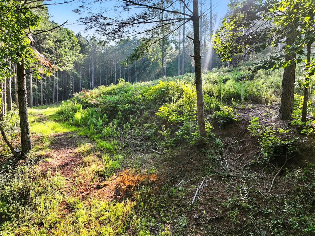 Lot 32 Foxpaw Leaf Lane