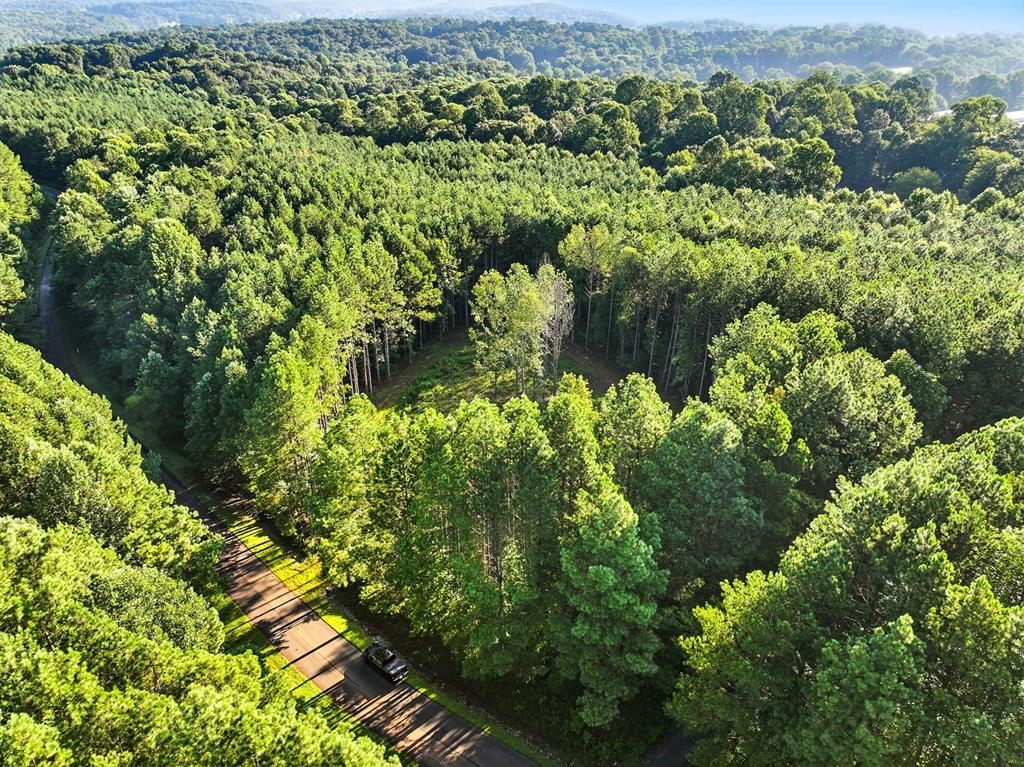 Lot 32 Foxpaw Leaf Lane