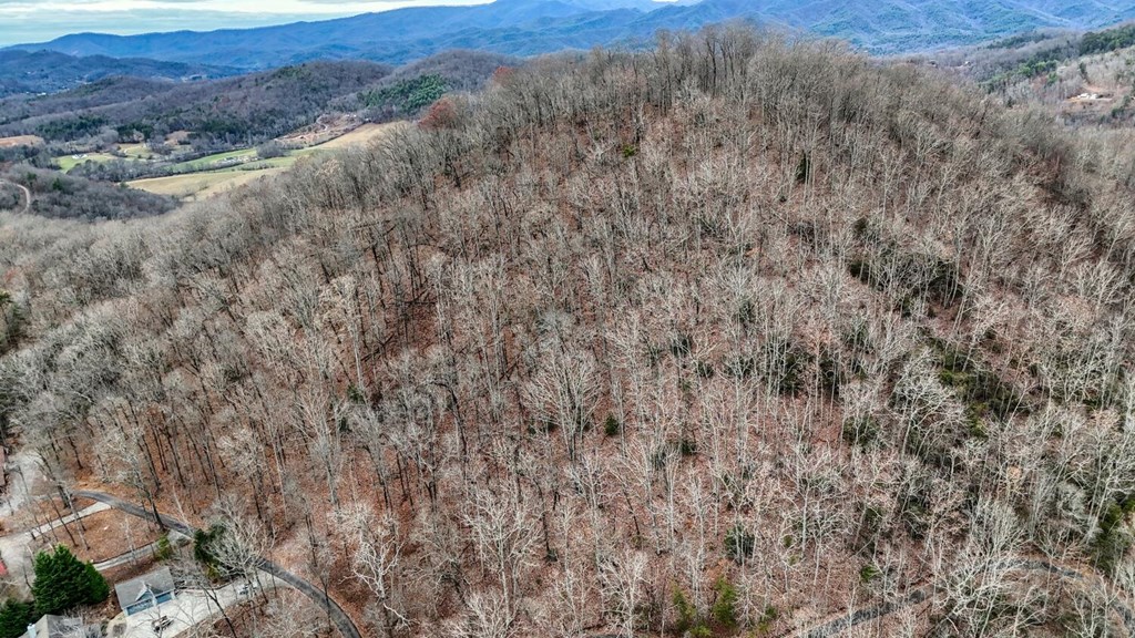 Lot 5 Chatuge Woods Drive