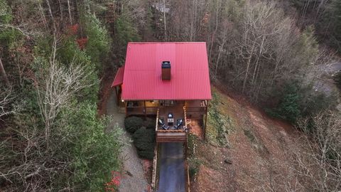 A home in Mineral Bluff